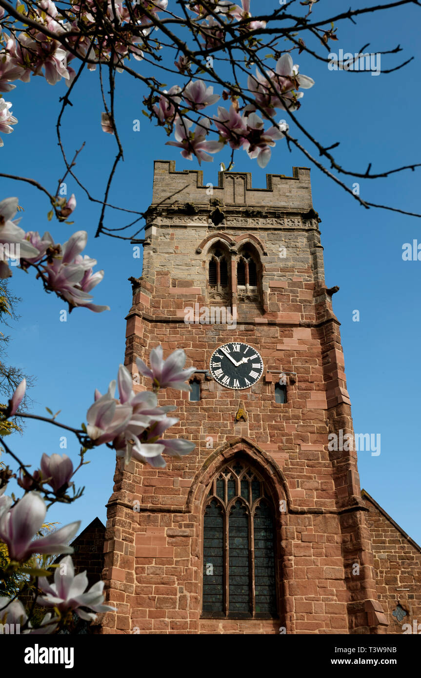 St. Peter`s Church in spring, Dunchurch, Warwickshire, England, UK Stock Photo